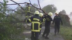 Česko zasáhly silné bouřky. Vítr lámal stromy, déšť zaplavil sklepy