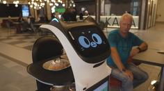 Kavárna v Teplicích hlásí novou posilu. Zákusky tam roznáší robotická kočka