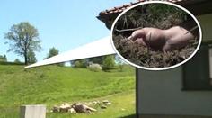 Záhada hrobu: Policie stále netuší, kdo je oběť ani vrah. Hledá tři lidi!