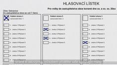 Jak správně volit v komunálních volbách: Tohle by měl vědět každý volič