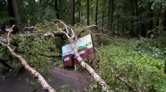 Spoušť v ostravské zoo. Bouřky vyrvaly stromy a zničily ploty, zůstává zavřená