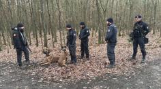 Stovky policistů prohledávaly Klánovický les. Hlídkovat tam budou dál