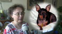 Nemocná paní Mašková: Aisha mi hrozně chybí. Neviděli jste ji?