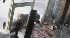 Policie hledá muže, který kvůli pizze rozbil výlohu. Nenajedl se, šlo o atrapu