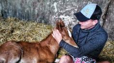 Dvořák z tělocvičny zamířil na farmu. Na svět přivedl roztomilé hříbě