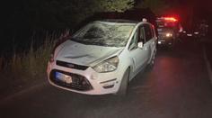 Dvě dopravní nehody způsobilo stádo koní na silnici. Nehody se neobešly bez zranění