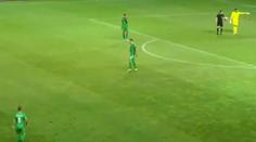 VIDEO: Zápas ruské fotbalové ligy byl přerušen. Na hřišti se objevil had