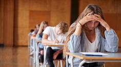 Cermat zveřejnil otázky z přijímaček. Deváťákům lámal vaz květinový záhon