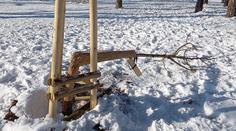Ani Vánoce je nezastaví. Vandalové ničí přírodu i vánoční výzdobu