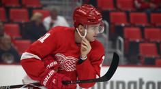 Zadina vystřelil Detroitu vítězství! Gólově se prosadil i Pastrňák