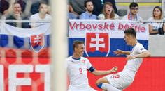 Drama během zápasu Čechů proti Slovákům: Divák bojoval o život!