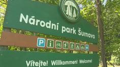 Herci z Policie Modrava prozradili, jestli lidé ničí Národní park Šumava