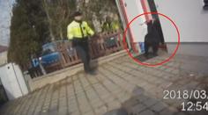 Marnivý kozel unikal strážníkům! Chytili ho, jak se kochá sám sebou