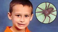 Chlapečkovi (5) vlezl do pyžama pavouk a zabil ho! FOTKY UVNITŘ