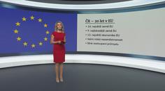 Od vstupu Česka do EU uplyne 20 let. Členství přináší výhody i nevýhody