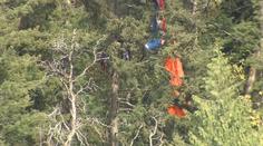 Přistál na stromě. Paraglidista čekal na pomoc tři hodiny