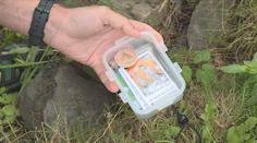 Geocaching je stále víc populární. Praha hostila největší mezinárodní sraz