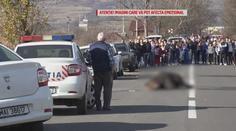 Medvěda srazilo auto. V bolestech umíral kvůli úřadům celý den