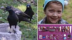 Jako Popelka: Gábinka (8) krmí vrány, ty jí za to nosí dárky! VIDEO