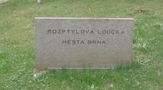 V Brně se bouří kvůli úpravám hřbitova. Vedení proto zve veřejnost k debatě