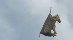 Zebra na útěku pobavila svět. Po týdnu ji zachránili v helikoptéře
