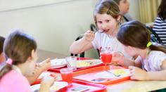 Obědy ve školních jídelnách zdraží. Ceny se můžou zvednout o pětinu