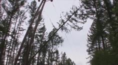VÝSTRAHA ČHMÚ: Na severu bude foukat silný vítr, varují meteorologové