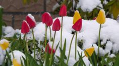 Do Evropy se vrátí sníh. Meteorologové si nevědí s počasím rady