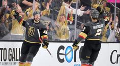 Hertl se zase trefil a je nejlepším střelcem Vegas, Boston nadále tápe