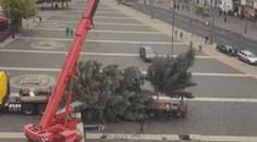 Velký trapas v Ústí. Při instalaci se jim zlomil vánoční strom