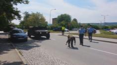 Takhle český veterán vystrčil holý zadek na americký konvoj. VIDEO