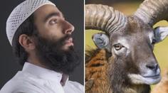 Úsměvný omyl na tísňové lince. Trefil řidič muflona, nebo muslima?!