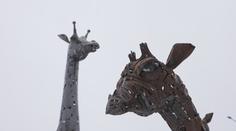 Ve Starém Městě mají unikátní zoo. Zvířata jsou výhradně ze železa