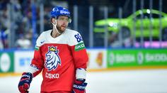 Hráli jsme bez puku, snad se ofenziva zase probudí, říká Pastrňák po prohře