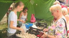 Česneková zmrzlina, čokoláda i kořalka. Na festivalu se česnekem i plivalo