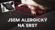 VÍKEND: Mýty o alergii na zvířata