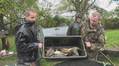 VIDEO: Vypuštěné rybníky a šupináči v sítích! Začaly tradiční výlovy