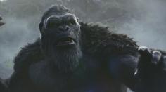 Do kin míří nový velkofilm. Porve se v něm Godzilla s Kongem