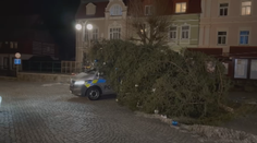 Vítr povalil strom na policejní auto v Chřibské. Byla na něm vánoční výzdoba