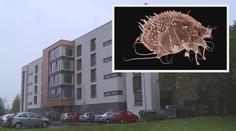 Svrab v domově pro seniory: Hygiena nařídila přísná opatření