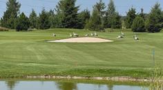 Ojedinělá podívaná v Mladé Boleslavi! Několik čápů tam "hrálo" golf