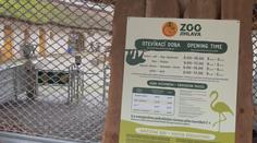 Nová opatření v jihlavské zoo kvůli ptačí chřipce. Teď už se týkají i návštěvníků