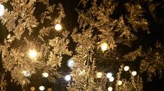 FOTO: Mrazivá zima nad Českem. A ještě přituhne, bude až - 20°C!