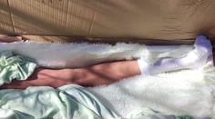 Myslel si, že v lese našel ženské tělo bez hlavy. Obsah krabice policisty překvapil