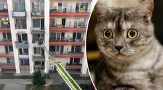 Kočka umírala zaseklá ve větračce. Hasiči ji zachránili po mnoha hodinách