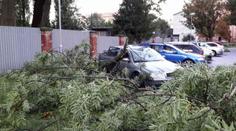Silné bouřky udeřily na Moravě! Spadlé stromy zastavily vlaky