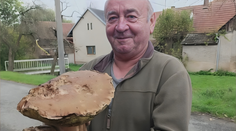Pan Jaromír našel obří hřib. Patří k českým rekordmanům, pyšní se