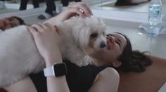 Cvičení a mazlení v jednom. V Dubaji zpříjemňují lidem jógu čtyřnozí společníci