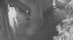 Gang zlodějů zřejmě znovu udeřil! Policie řeší další vykradené domy