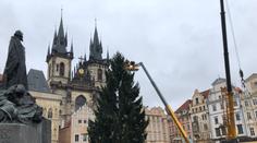 Staroměstské náměstí už zdobí smrk ze Semil, rozsvítí ho v sobotu! FOTO A VIDEO
